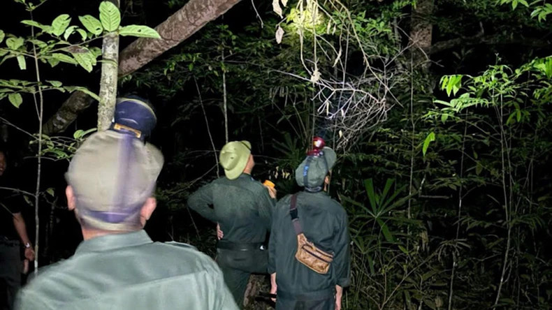 护林队全天候24小时值守，定期巡查，及时发现并制止一切破坏森林的行为，致力于保护多样的生态系统和壮丽的自然景观。