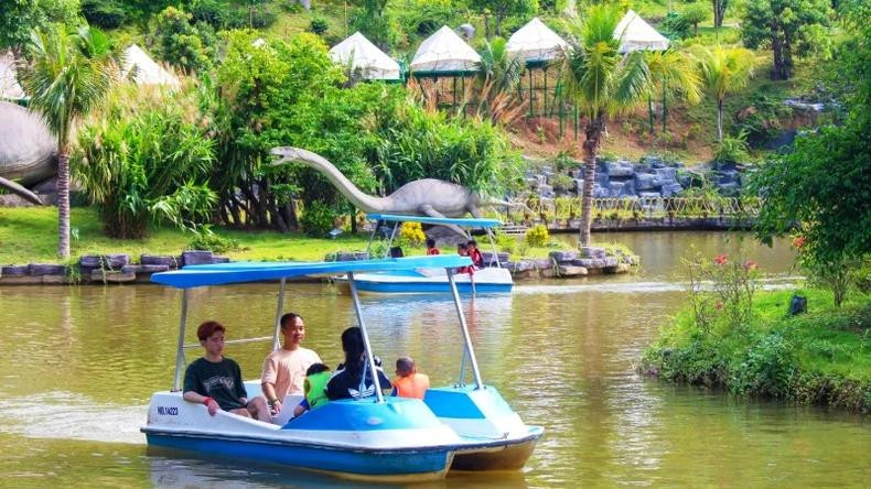 划船游览恐龙园和鸟园。