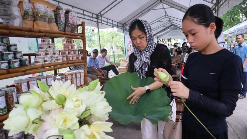 荷花瓶点缀着金莲乡的乡村集市,迎接2025年莲村节的到来。 荷花瓶点缀着金莲乡的乡村集市,迎接2025年莲村节的到来。