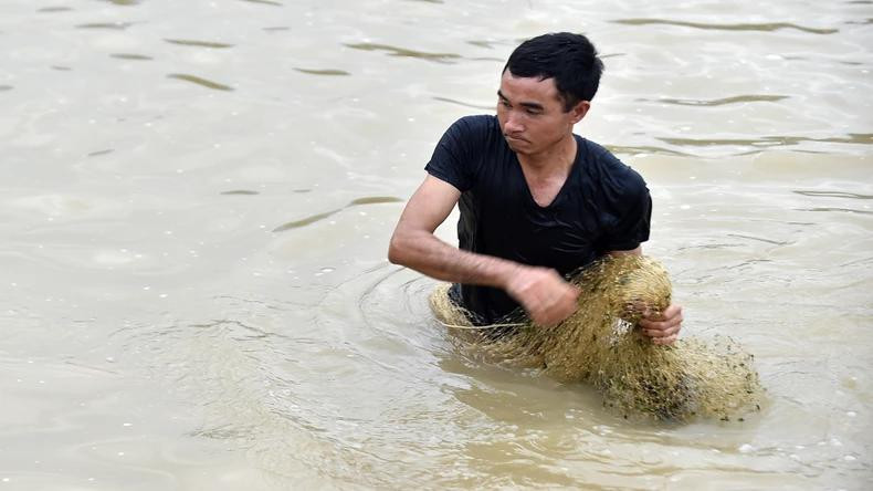 泰族男性擅长抛网捕鱼。(图为:抛网捕鱼比赛) 泰族男性擅长抛网捕鱼。(图为:抛网捕鱼比赛)