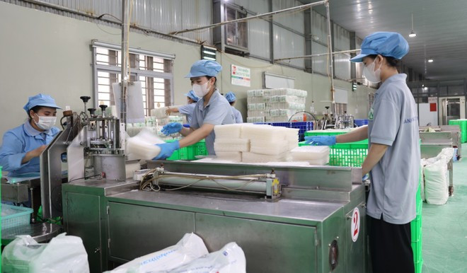 西宁省一家企业的生产链。（图片来源：越通社）