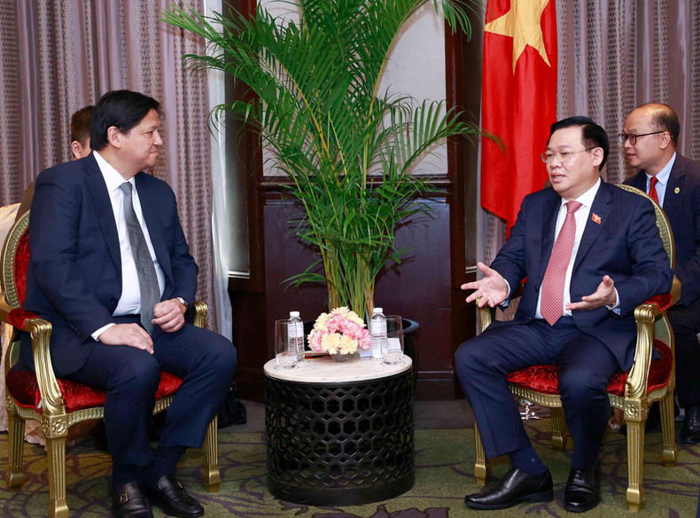 国会主席王廷惠会见ACEN公司总裁兼总经理埃里克·弗朗西亚。