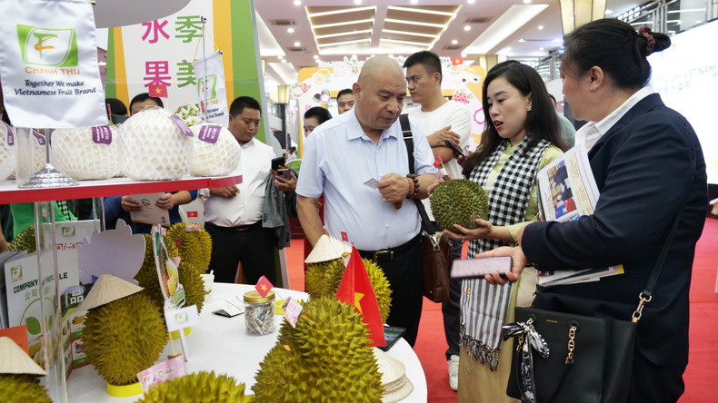 一名越南企业代表想客户推介榴莲。 一名越南企业代表想客户推介榴莲。