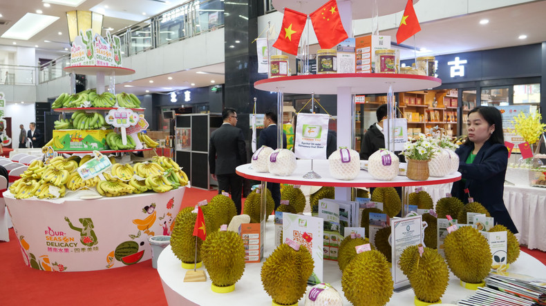 越南水果节的一个展位。 越南水果节的一个展位。