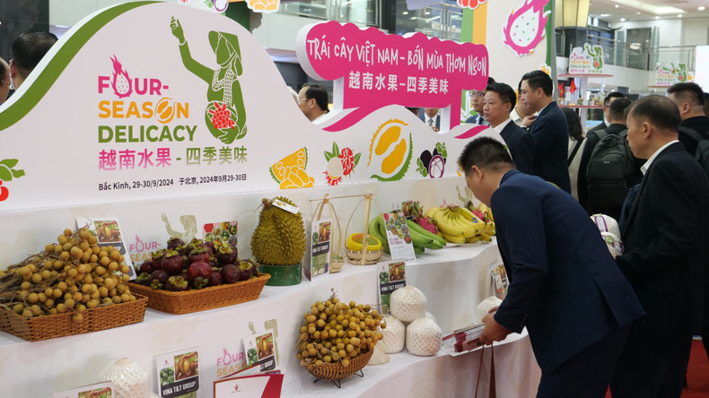 本次水果节向北京乃至中国消费者推介多种优质水果。 本次水果节向北京乃至中国消费者推介多种优质水果。