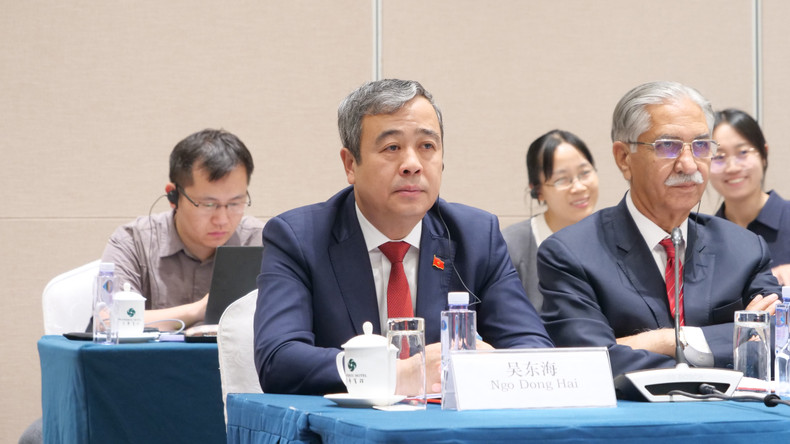 越共中央宣教与民运部副部长吴东海在分论坛上发言。