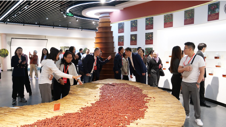 与会代表参观红枣博物馆。