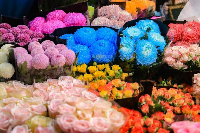 广安从早就成为买鲜花的有名地方。各种鲜花娇艳欲滴、五彩缤纷,是从越南北部西就、东英、嘉林、福安等地运过来。 广安从早就成为买鲜花的有名地方。各种鲜花娇艳欲滴、五彩缤纷,是从越南北部西就、东英、嘉林、福安等地运过来。