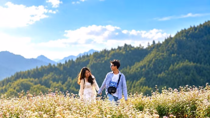 荞麦花盛开美景惹得游人、驻足流连。（图片来源：越通社）
