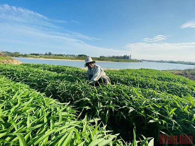 城市中心的“游牧”生活（组图） ảnh 4