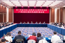 中国十四届全国人大四次会议广西代表团在驻地召开第三次全体会议，审查“十五五”规划纲要草案。