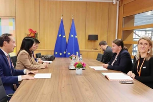 外交部副部长黎氏秋姮与欧洲理事会主席外交事务顾问维罗妮卡·穆希洛娃举行工作会议。（图片来源：越通社）