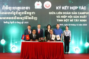 西宁木薯淀粉厂协会与柬埔寨木薯协会签署合作谅解备忘录。