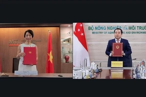 双方代表以线上方式签署关于落实《巴黎协定》第六条的协议。
