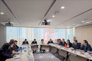 越南最高人民法院高级代表团同新加坡司法部代表举行工作会议。（图片来源：越通社）