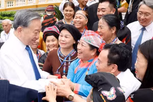 越共中央总书记、国家主席苏林和全国民族地区的村寨族长、元老、艺术家及乡贤代表。