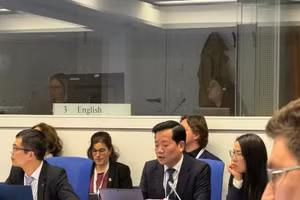 辐射与核安全局局长阮黄灵在大会上作国家报告。（图片来源：越通社）