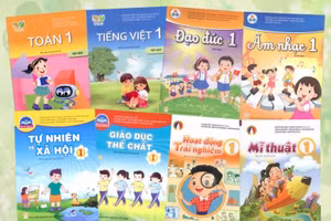 附图：一些越南教科书。