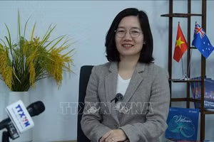 越南驻澳大利亚商务处负责人陈氏青接受记者采访。（图片来源：越通社）