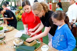 外国游客乐享越南春节文化体验【视频】