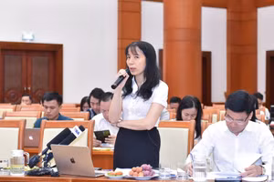 外国投资局副局长阮氏香在会议上发表讲话。 （图片来源：bnews.vn）