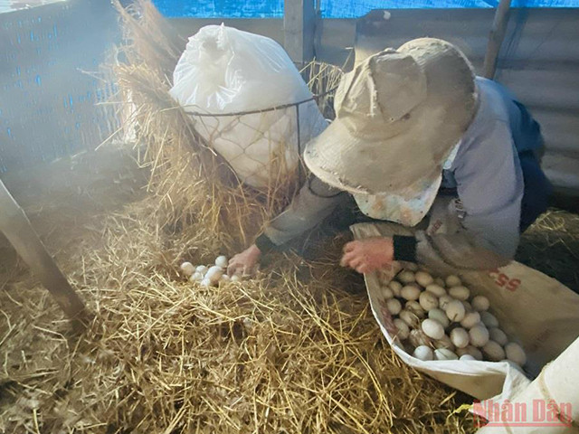 城市中心的“游牧”生活(组图) ảnh 1 城市中心的“游牧”生活(组图) ảnh 1