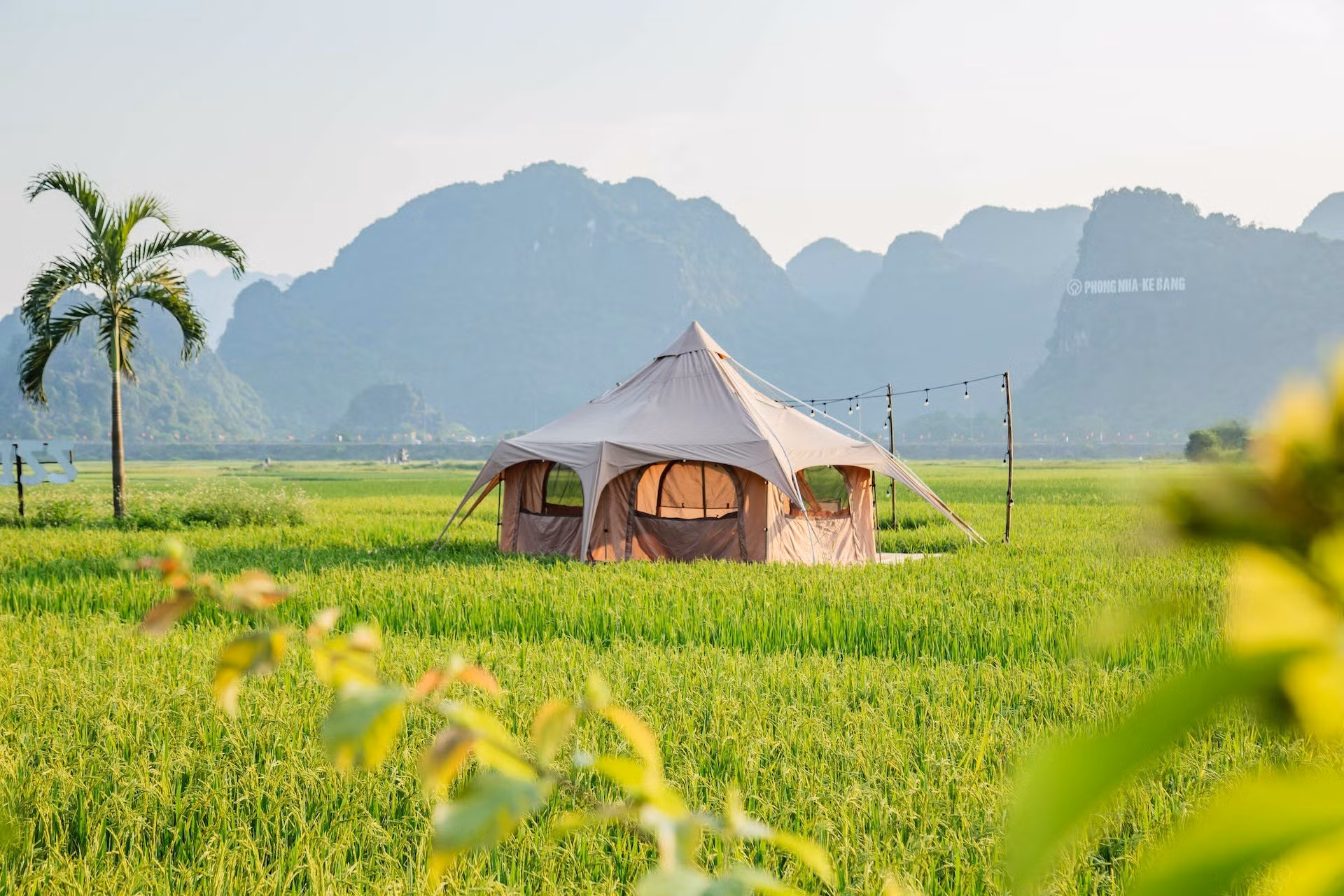 在四周稻谷飘香、空气清新的环境中旅行，是一场“疗愈之旅”，修复人们的体力和精神能量，回归自然。