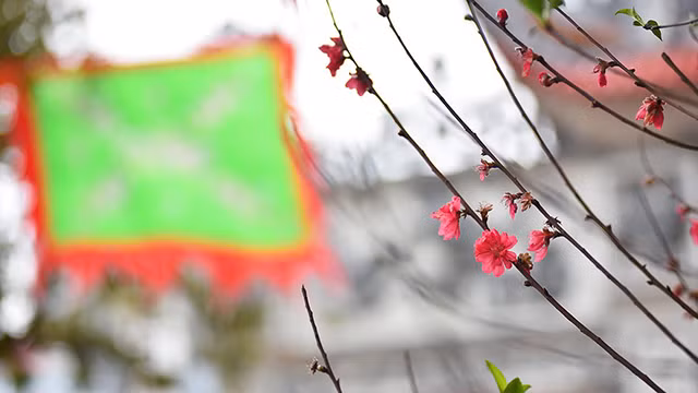 河内人正月十五出去烧香拜佛 祈求平安（组图） ảnh 11