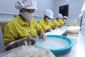 越南经济保持强劲增长势头