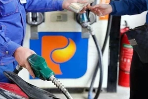 受中东局势冲击，政府推动下调汽油环境保护税