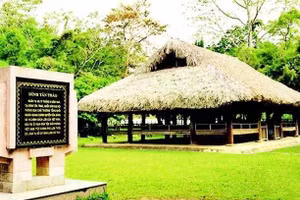 历届国会代表选举