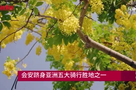 会安跻身亚洲五大骑行胜地之一【视频】