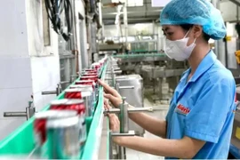 胡志明市新光明贸易有限公司（Bidrico）生产链。