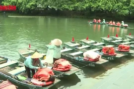 宁平省多处名胜荣获猫途鹰殊荣【视频】