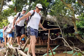 外国游客在越南西部水乡体验“猴桥”，感受独具特色的乡村旅游。（图片来源：越通社）