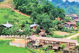 谅山省友莲乡旅游村全景。