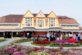 体验大叻乘坐复古火车旅行 品尝越南咖啡【组图】