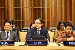 越南常驻联合国代表团团长杜雄越大使在启动仪式上发表讲话。