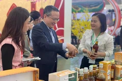 日本贸易振兴机构（JETRO）驻河内代表处首席代表小笹晴彦参观2026年首届春季博览会。（图片来源：越通社）