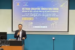 越南驻新加坡大使陈福英在论坛上发言。（图片来源：越通社）