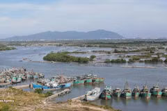 停靠越南港口的外国船舶监控工作新流程。（图片来源：越通社）