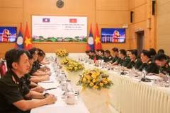 第六次越老国防政策对话在岘港市举行。