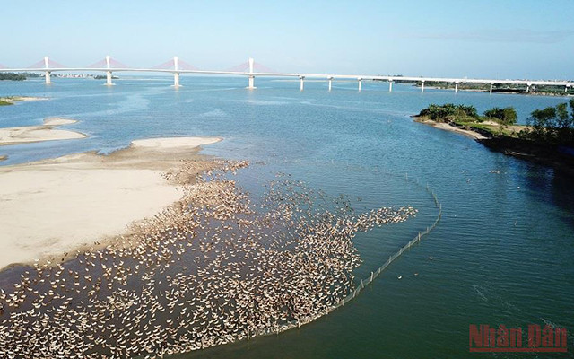 城市中心的“游牧”生活（组图） ảnh 9