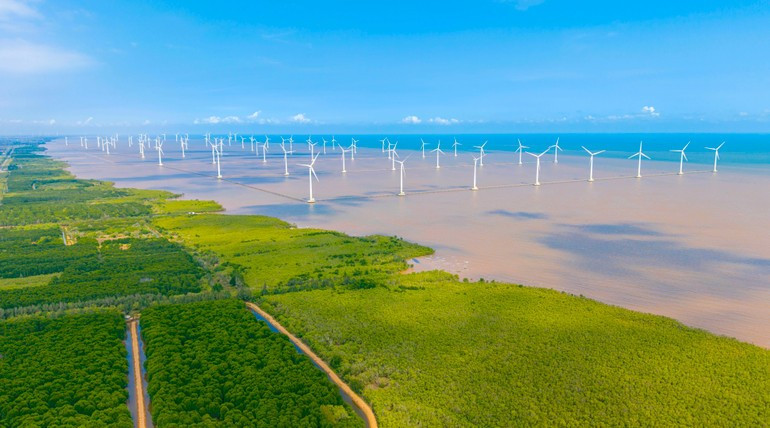 无论是风电、太阳能，还是绿色氢能或生物质能，都需要一套明确、稳定且具有长期性的政策体系，才能让投资者有信心“押注”未来。