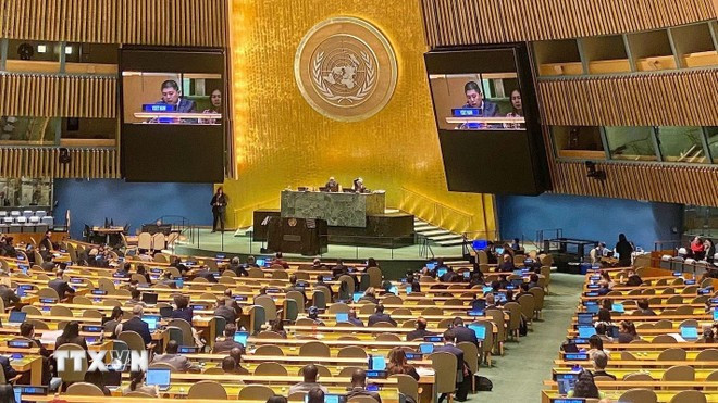 越南代表团代表在通过《河内公约》活动上发言。（图片来源：越通社）