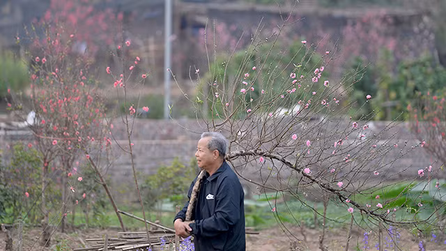 河内市腊月三十日的气氛（组图） ảnh 7