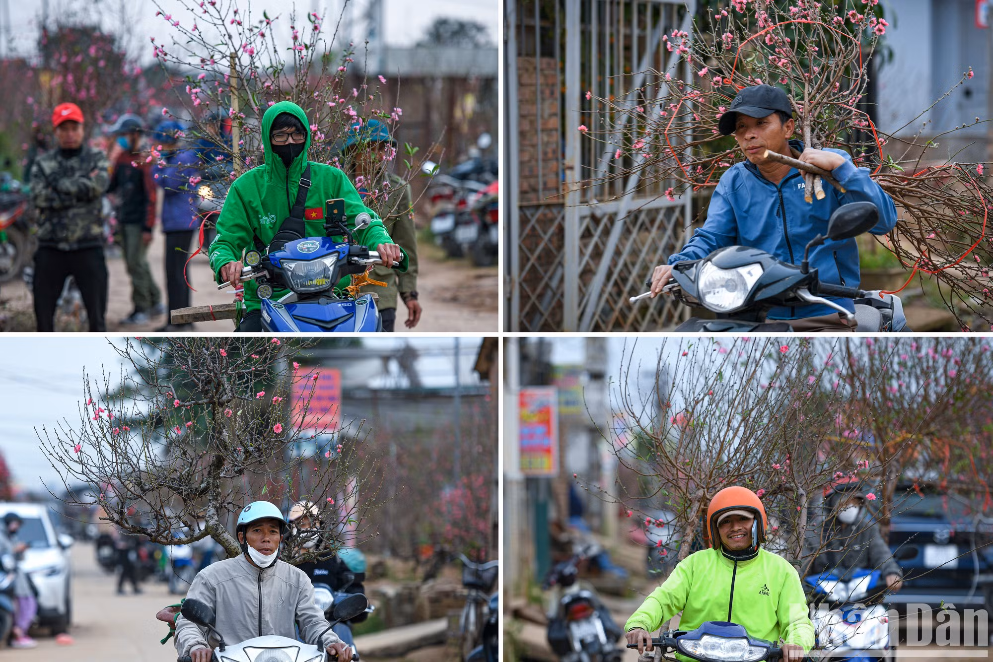 日新桃花村品牌已成为人民在春节即将来临之际的熟悉地点。