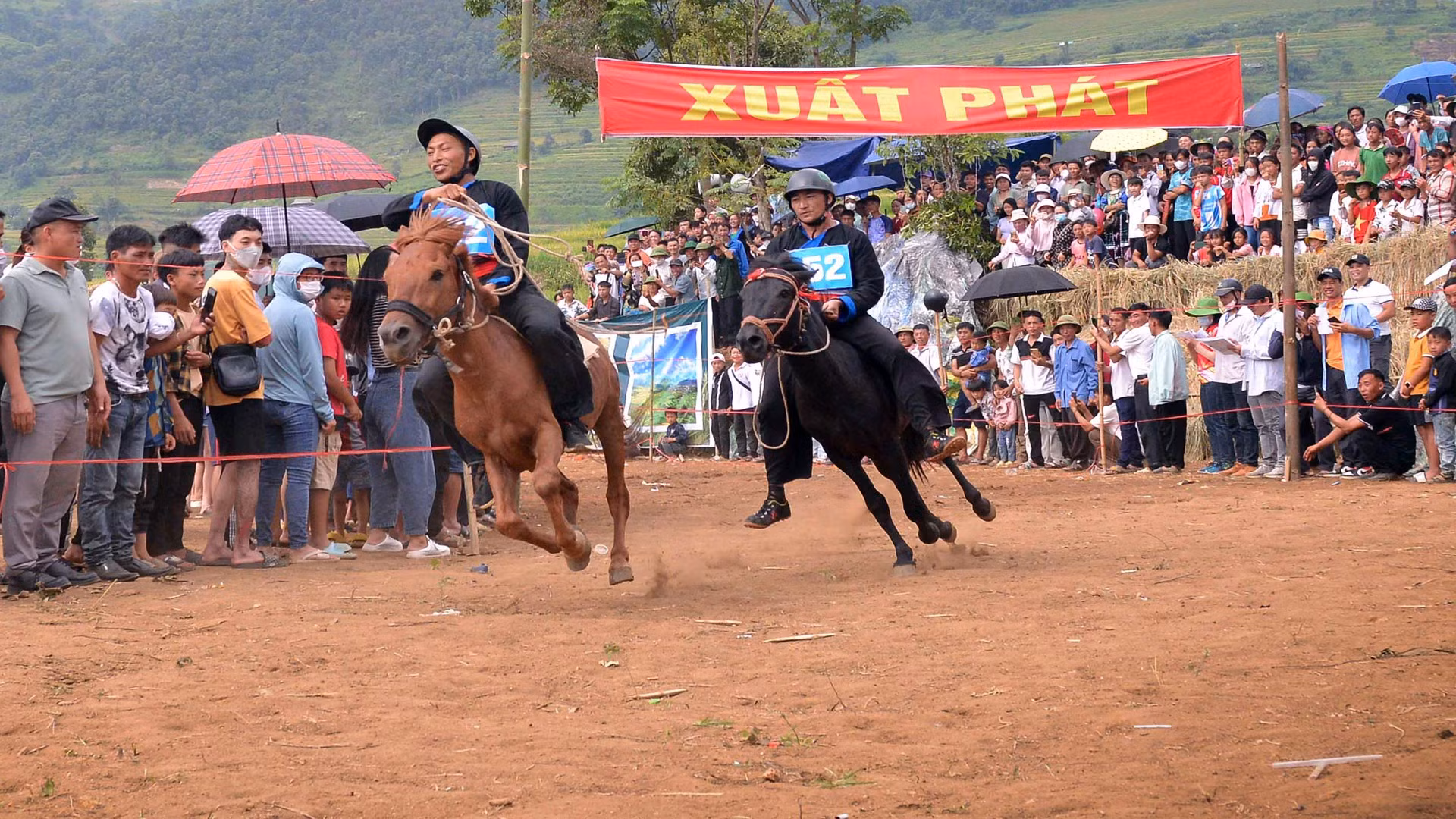 运动员们兴奋不已开始马赛。
