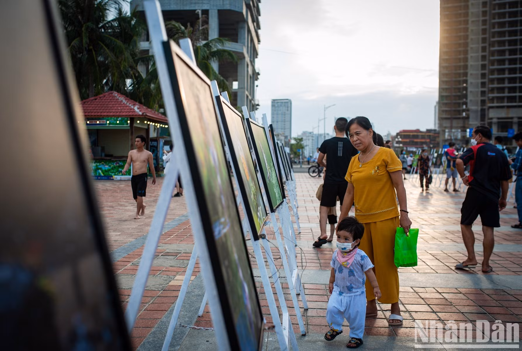 组委会还在东海公园举办题为“山茶瞬间”的图片展。