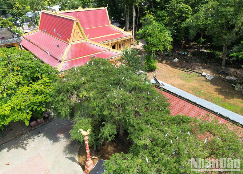 不仅因其古老而迷人的美丽吸引游客，还因其独特的鸟园和那些由寺院内熟练巧手、富有才华的僧侣艺术家们创造的雕刻艺术品而闻名。